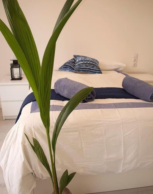 Triana_Villa In Palma City With Private Pool - Etv/10914 Exterior foto
